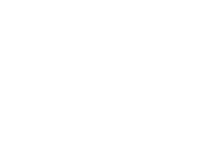 Hirewild
